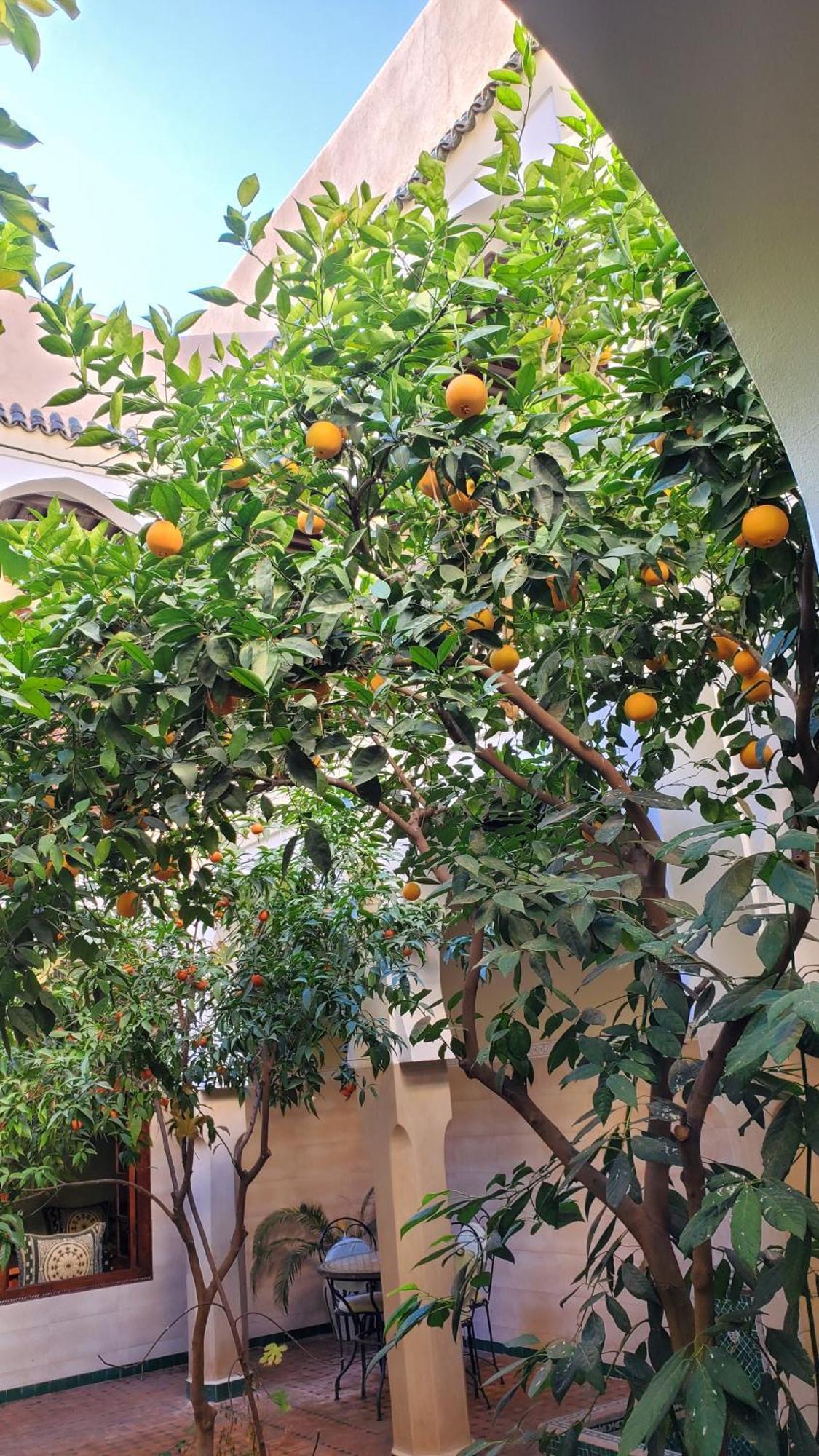 Riad Tidar By Phoenix Marrakesh Exterior foto