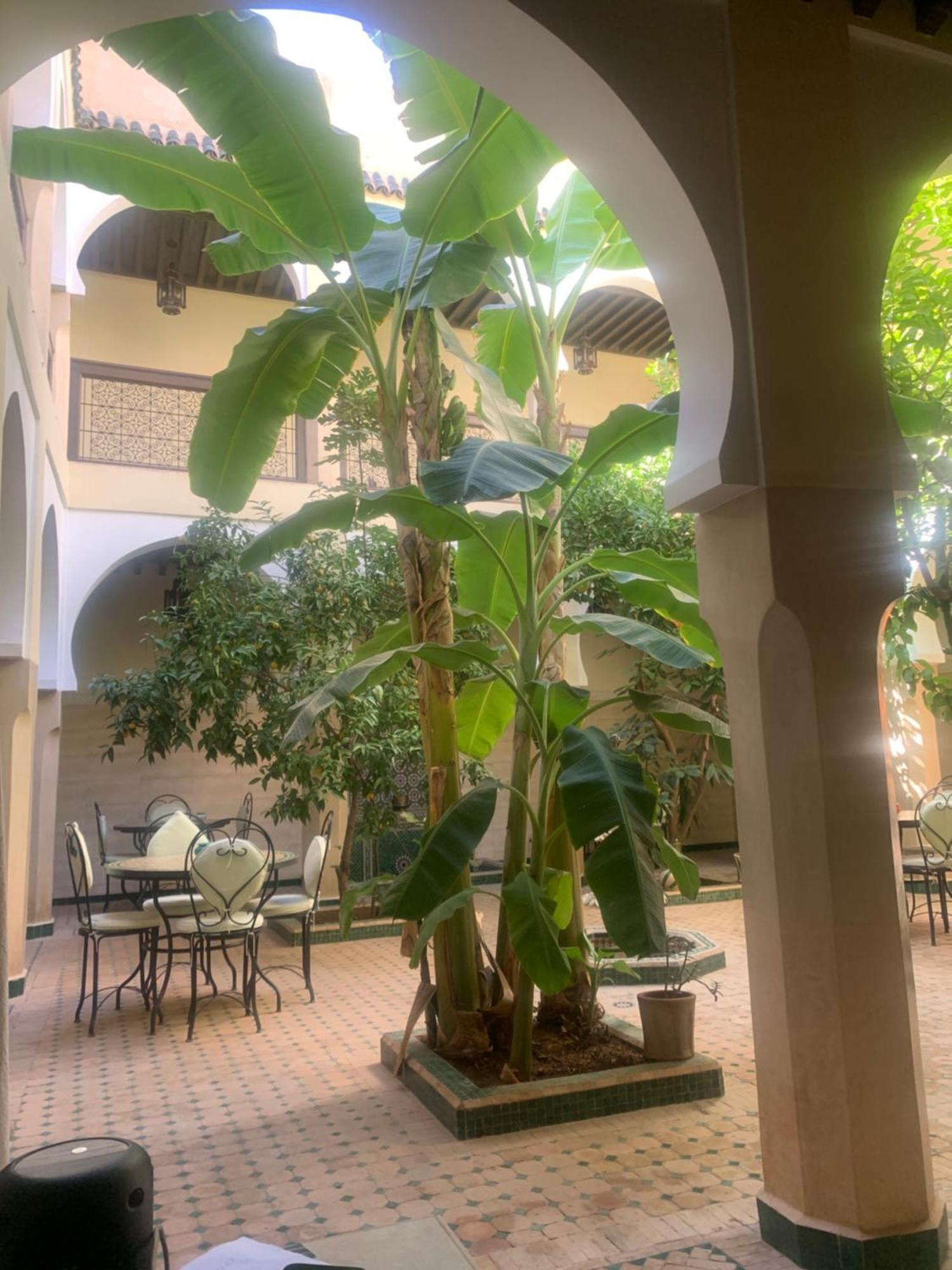 Riad Tidar By Phoenix Marrakesh Exterior foto