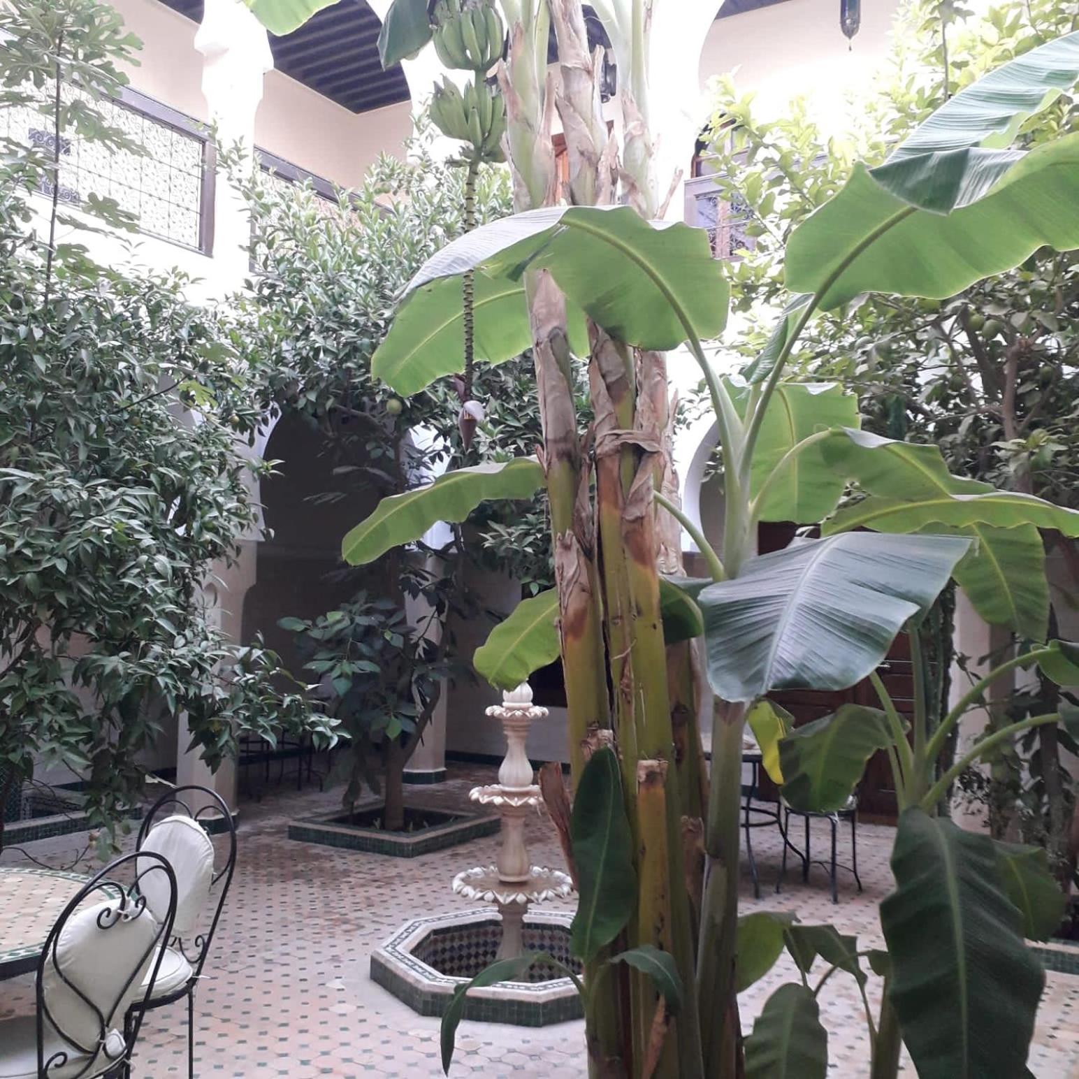 Riad Tidar By Phoenix Marrakesh Exterior foto