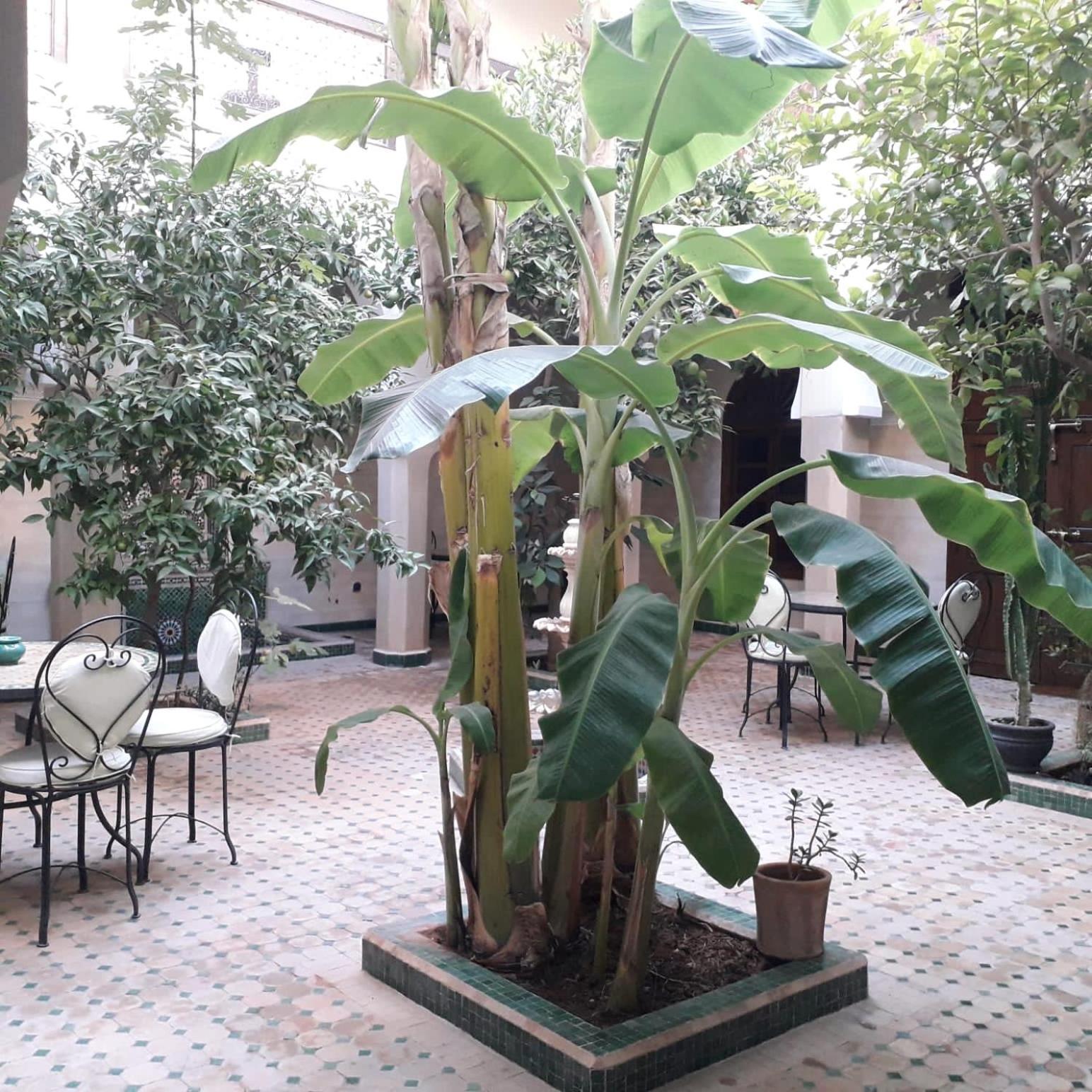 Riad Tidar By Phoenix Marrakesh Exterior foto